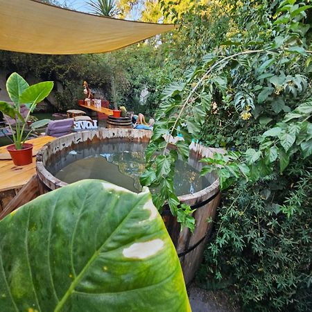 La Araucaria Cabana Con Tinaja San Felipe Exterior foto