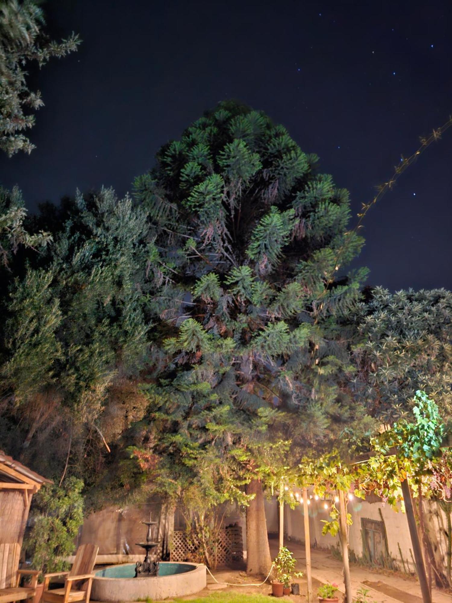 La Araucaria Cabana Con Tinaja San Felipe Exterior foto