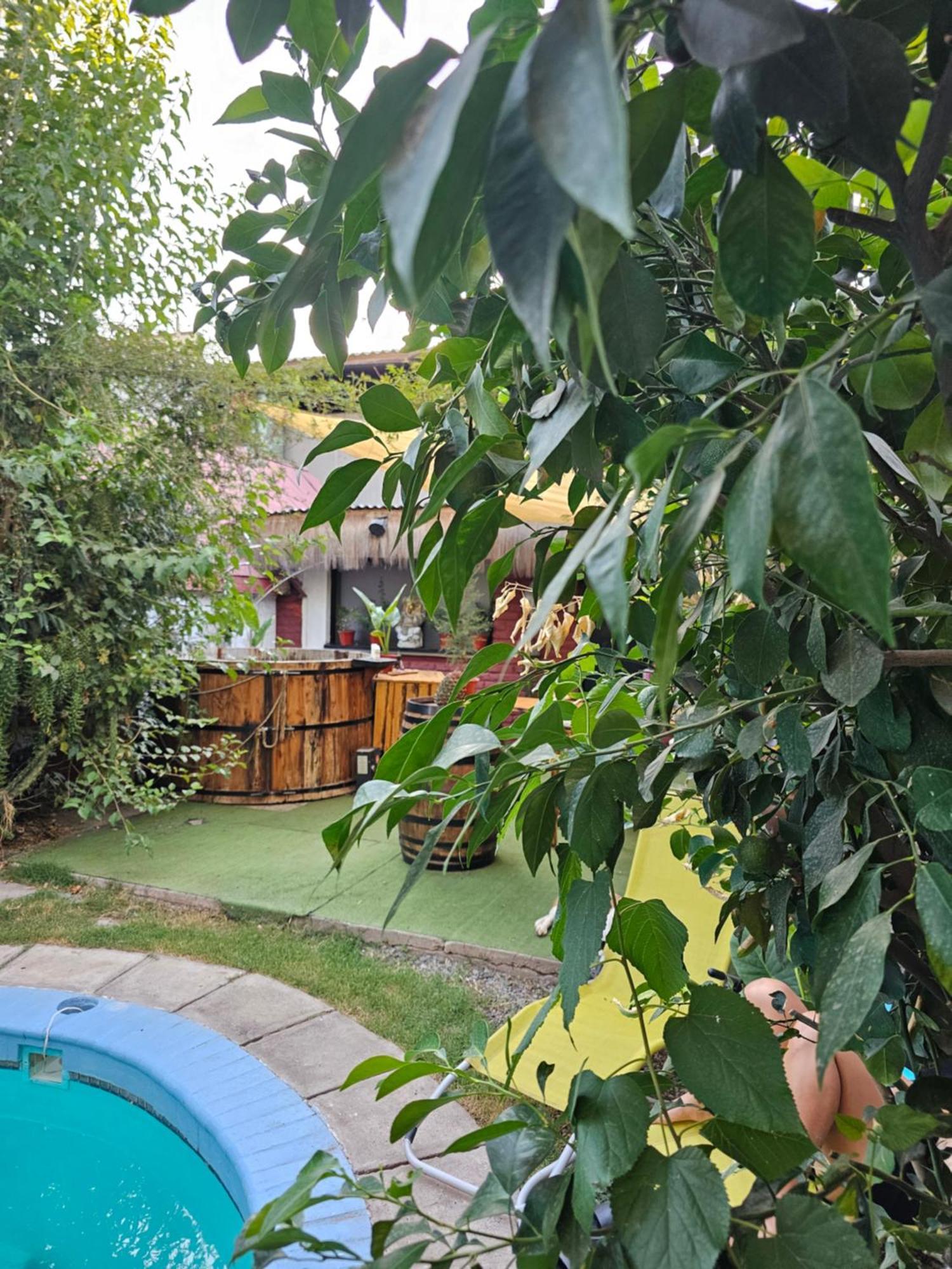 La Araucaria Cabana Con Tinaja San Felipe Exterior foto